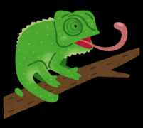 /irodori/cache_image/s-02_animal_chameleon_compressed.png